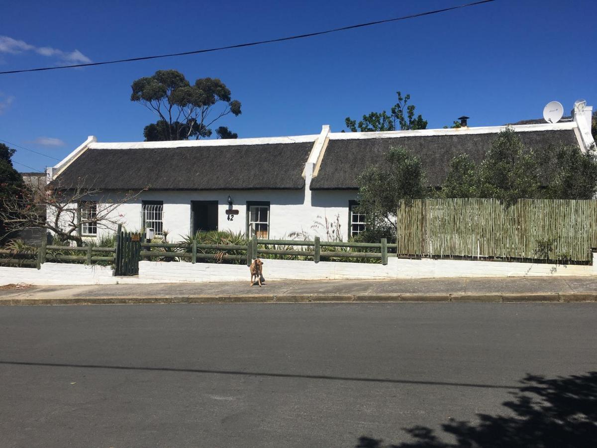Carneddie Cottage - Main Bredasdorp Bagian luar foto